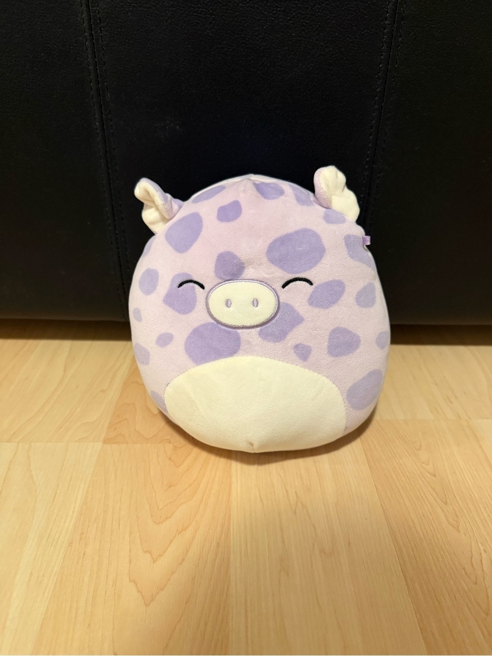 Pammy the Purple Pig Squishmallow